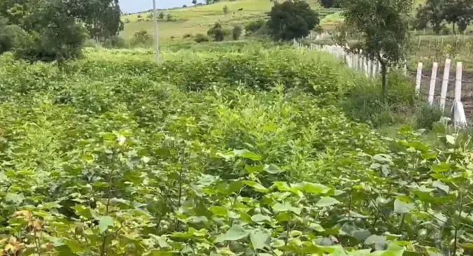 5 acres 5 guntas Land in Malgi, Sangareddy - photo 1