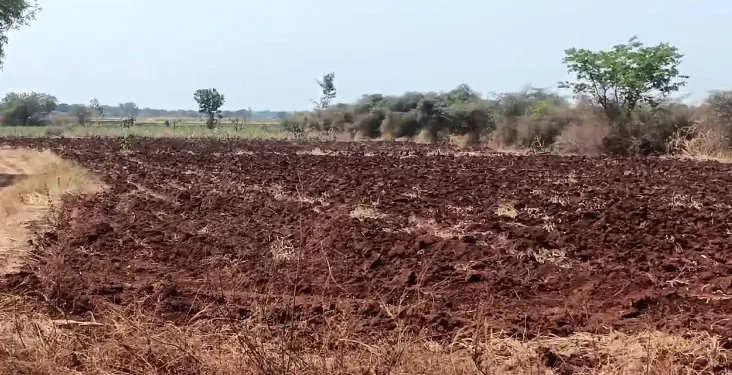 1 acre 20 guntas Land in Rukmapur, Sangareddy - photo 1