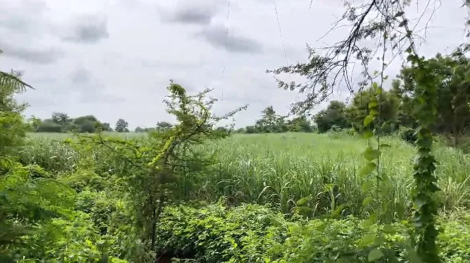 30 guntas Land in Rukmapur, Sangareddy - photo 1