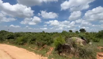 1 acre Land in Damarakunta, Siddipet - photo 2