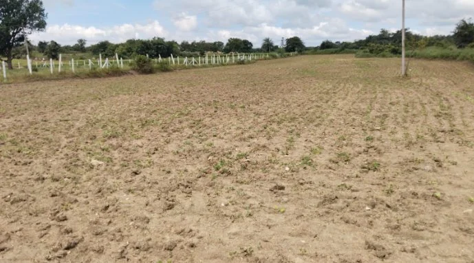 1 acre Land in Mittakodur, Vikarabad - photo 1