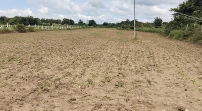 1 acre Land in Mittakodur, Vikarabad - photo 2
