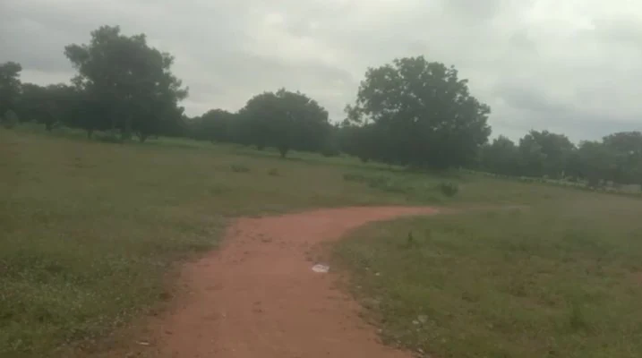 14 acres Land in Mucherla, Ranga Reddy - photo 1