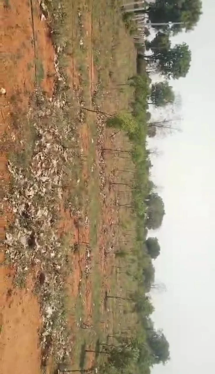 3 acres Land in Debbadaguda, Ranga Reddy - photo 1