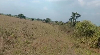 14 acres 22 guntas Land in Gomutri, Adilabad - photo 2