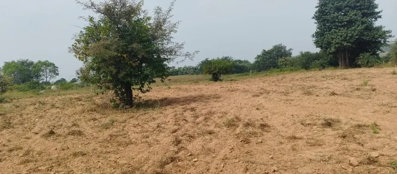 2 acres Land in Chippalpalle, Ranga Reddy - photo 1