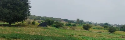2 acres Land in Chippalpalle, Ranga Reddy - photo 3