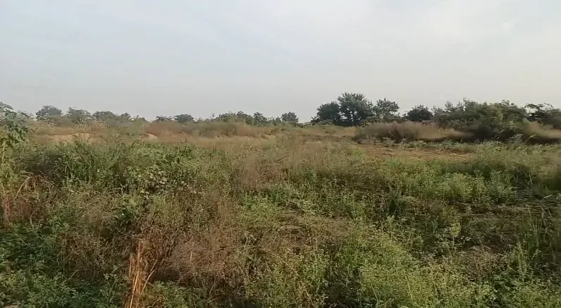 1 acre Land in Khanapur, Ranga Reddy - photo 1