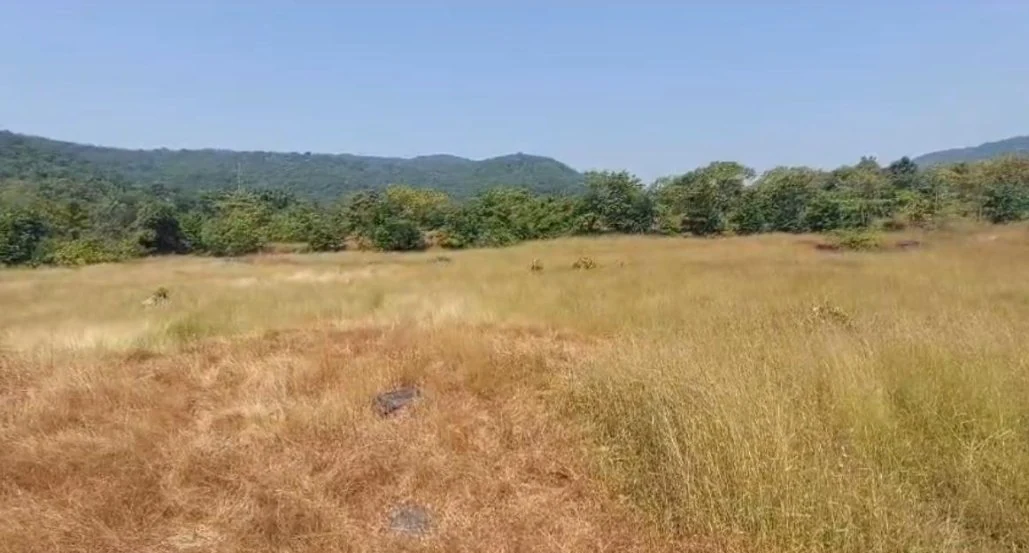 3.41 Acres Land in Ghonse, Raigad - photo 1