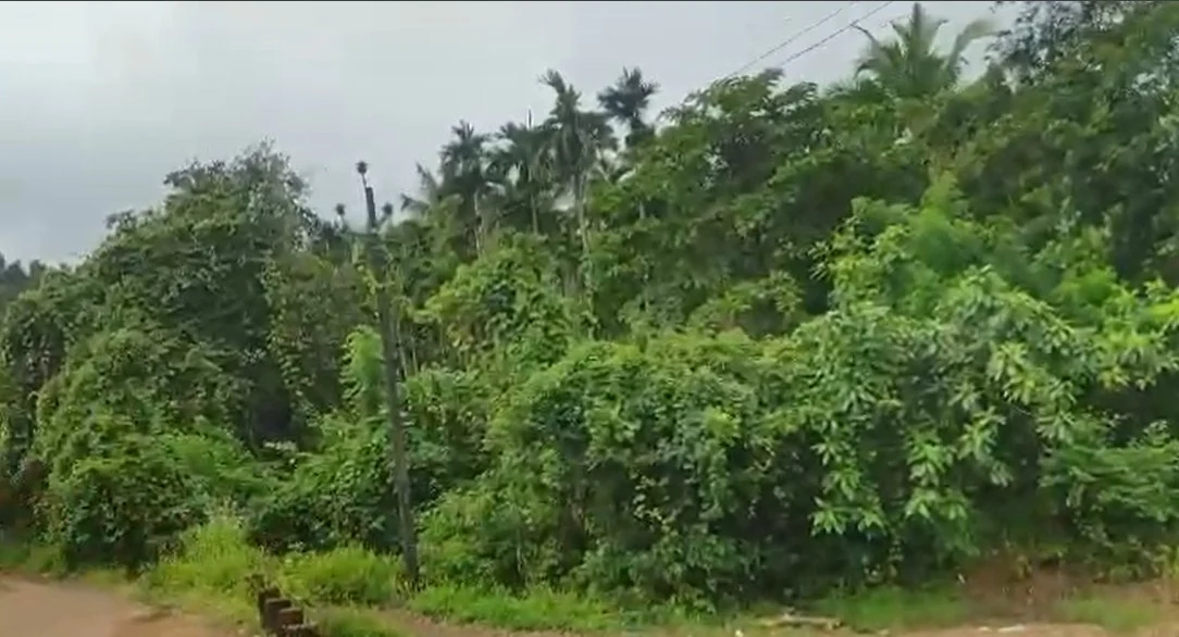 3.88 Acres Land in Pabhare, Raigad - photo 1