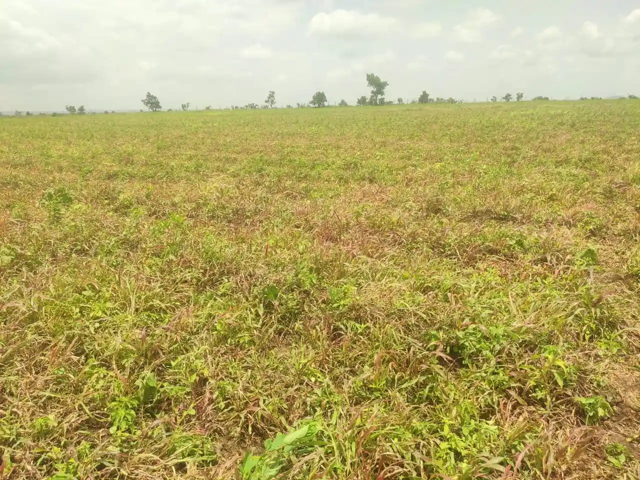 5 acres Land in Kukinda, Vikarabad - photo 1