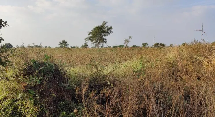 30 guntas Land in Somaram, Vikarabad - photo 1