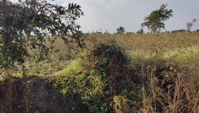 30 guntas Land in Somaram, Vikarabad - photo 2