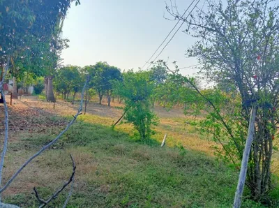 3 acres 31 guntas Land in Mucherla, Ranga Reddy - photo 2