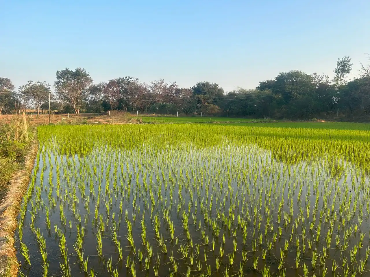 1 acre Land in Danampalle, Siddipet - photo 1