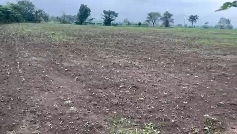 6 acres 12 guntas Land in Jafferpalle, Vikarabad - photo 1