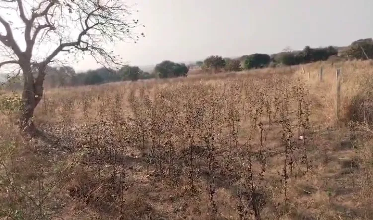 21 guntas Land in Kesaram, Vikarabad - photo 1