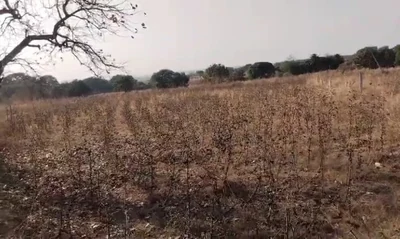 21 guntas Land in Kesaram, Vikarabad - photo 2