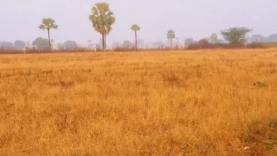 20 guntas Land in Kistampet, Siddipet - photo 3