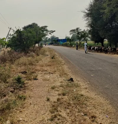 3 acres 8 guntas Land in Tharigopul, Vikarabad - photo 4