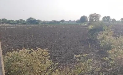 1 acre Land in Devuni Erravelly, Ranga Reddy - photo 2