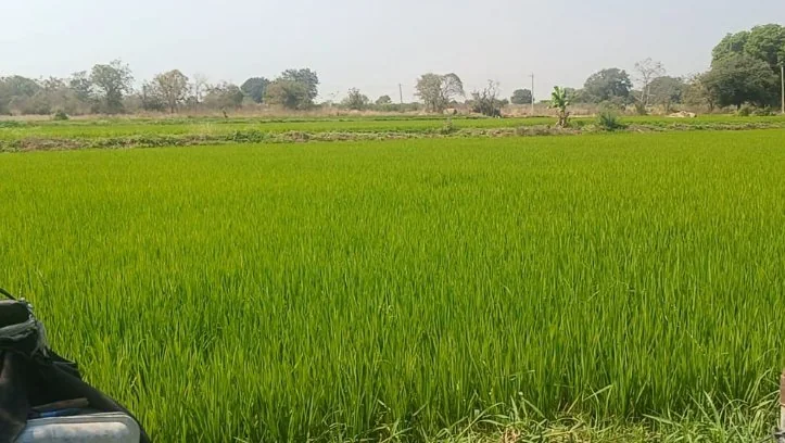 20 guntas Land in Ponnal, Siddipet - photo 1