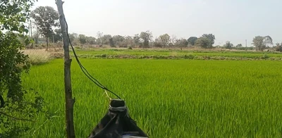 20 guntas Land in Ponnal, Siddipet - photo 2