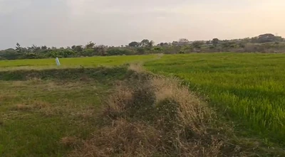 1 acre Land in Ensanpalle, Siddipet - photo 2