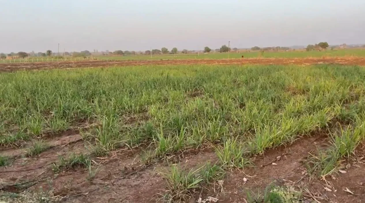 23 guntas Land in Metalkunta, Sangareddy - photo 1