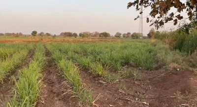 23 guntas Land in Metalkunta, Sangareddy - photo 3