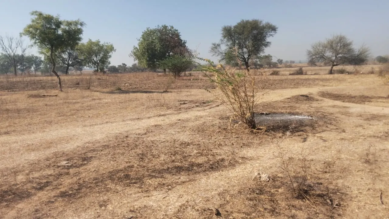 1 acre Land in Kamalapur, Vikarabad - photo 1