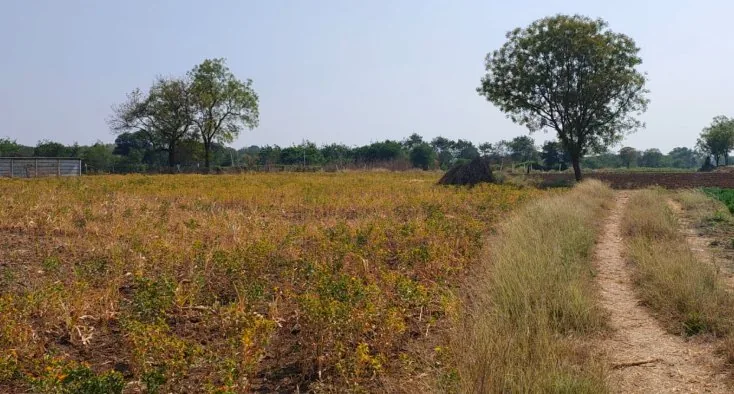 30 guntas Land in Devuni Erravelly, Ranga Reddy - photo 1