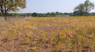 30 guntas Land in Devuni Erravelly, Ranga Reddy - photo 3