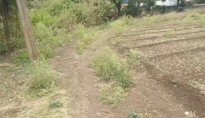 7 acres 2 guntas Land in Mirjapur[N], Sangareddy - photo 4