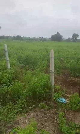 2 acres Land in Ebbanoor, Vikarabad - photo 1
