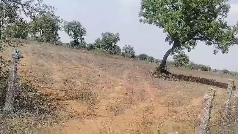 1 acre 5 guntas Land in Timmapur, Ranga Reddy - photo 1