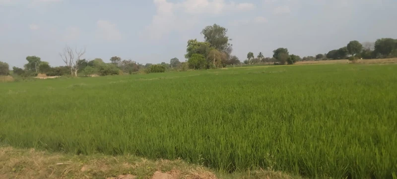 17 guntas Land in Kamalapur, Vikarabad - photo 1