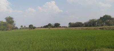 17 guntas Land in Kamalapur, Vikarabad - photo 2