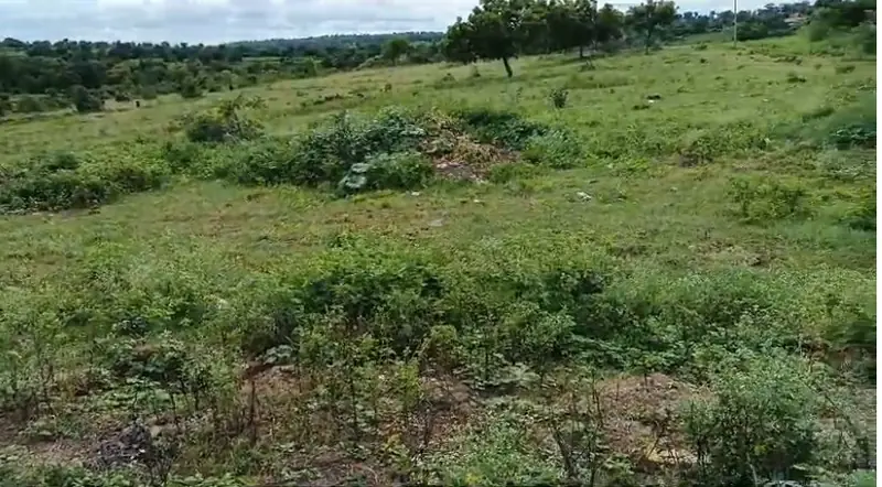 5 acres 20 guntas Land in Hangarga [K], Sangareddy - photo 1