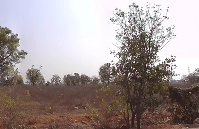 5 acres Land in Rampur, Siddipet - photo 2