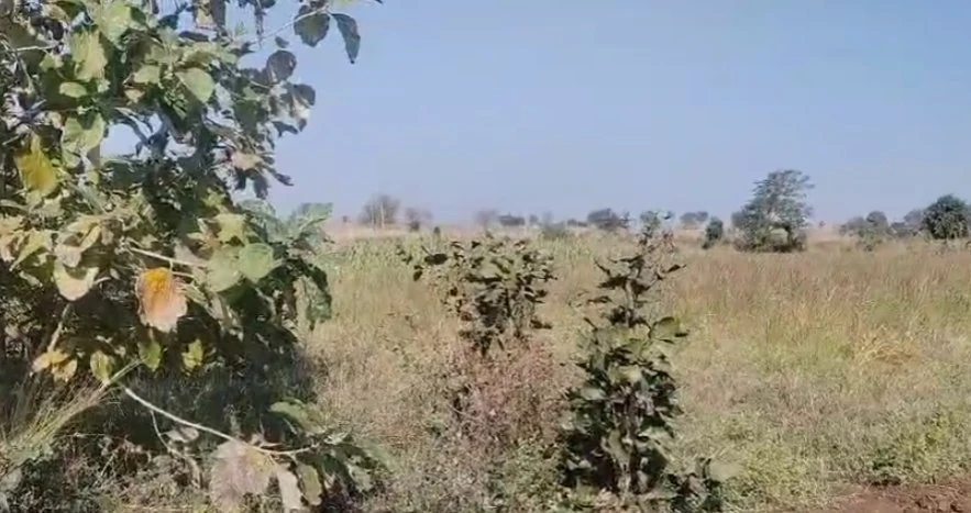2 acres Land in Izrachettempalle, Vikarabad - photo 1