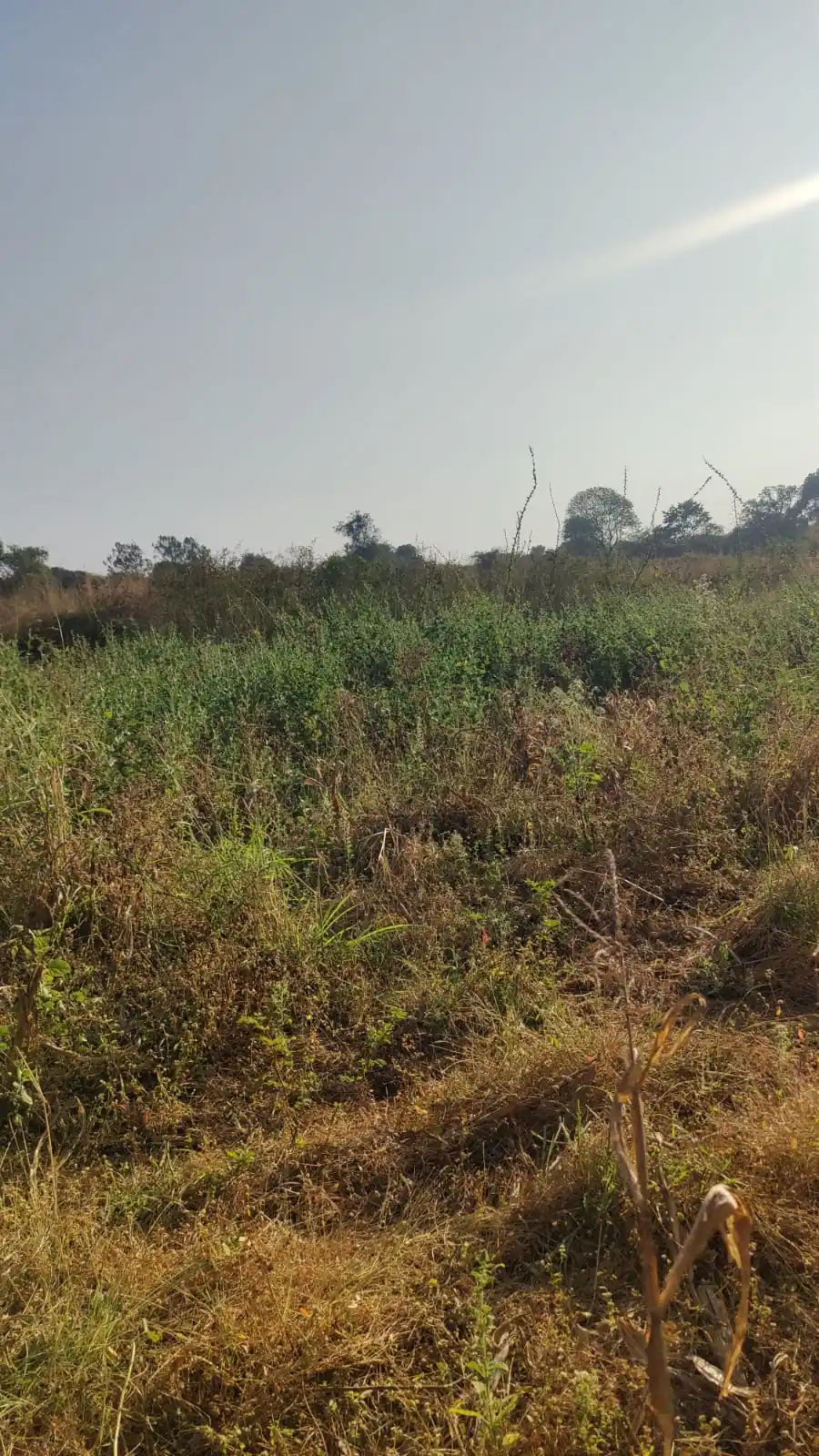 6 guntas Land in Aloor I, Ranga Reddy - photo 1