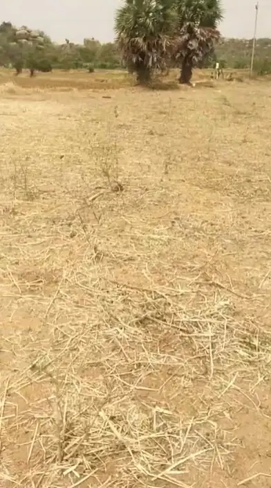 17 guntas Land in Mucherla, Ranga Reddy - photo 2