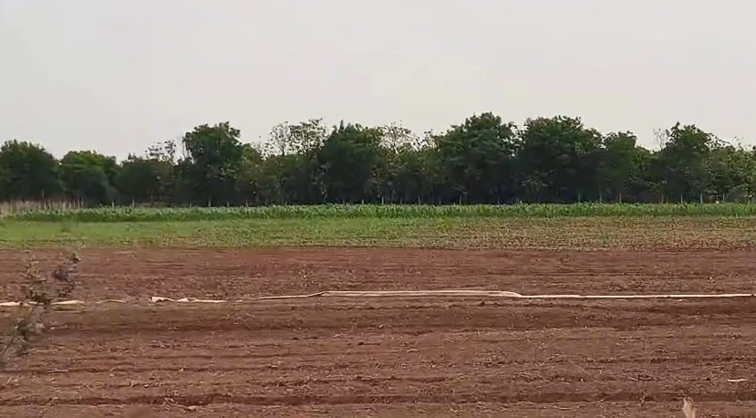 3 acres Land in Danampalle, Siddipet - photo 1