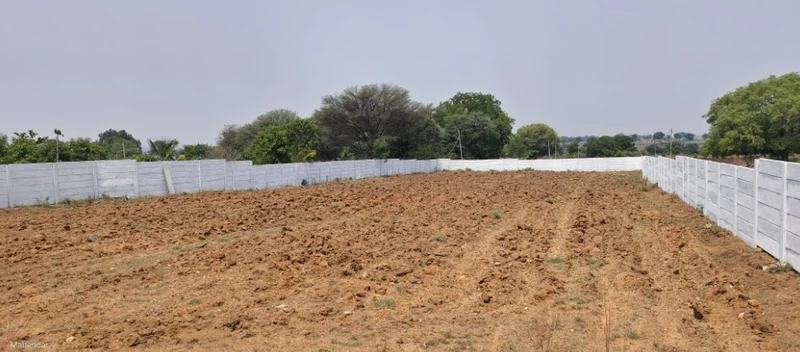 20 guntas Land in Kanduwada, Ranga Reddy - photo 1