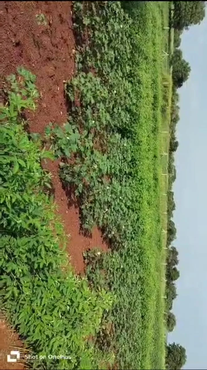 5 acres Land in Kothlapur, Vikarabad - photo 1