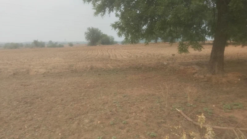 20 guntas Land in Achuthapur, Vikarabad - photo 1