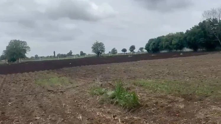 1 acre 31 guntas Land in Pamena, Ranga Reddy - photo 1