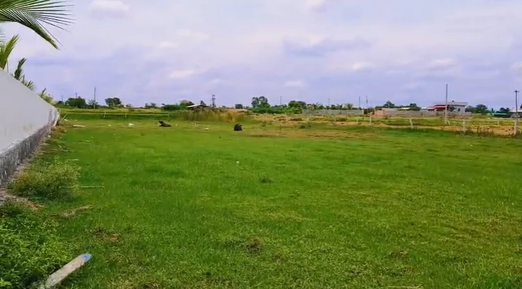 23 guntas Land in Markook, Siddipet - photo 1