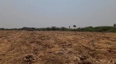 28 acres 73 cents Land in Nimmavaram, Prakasam - photo 2
